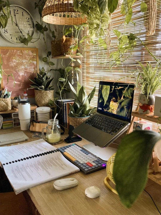 A Fresh Start to the New Year🌿
