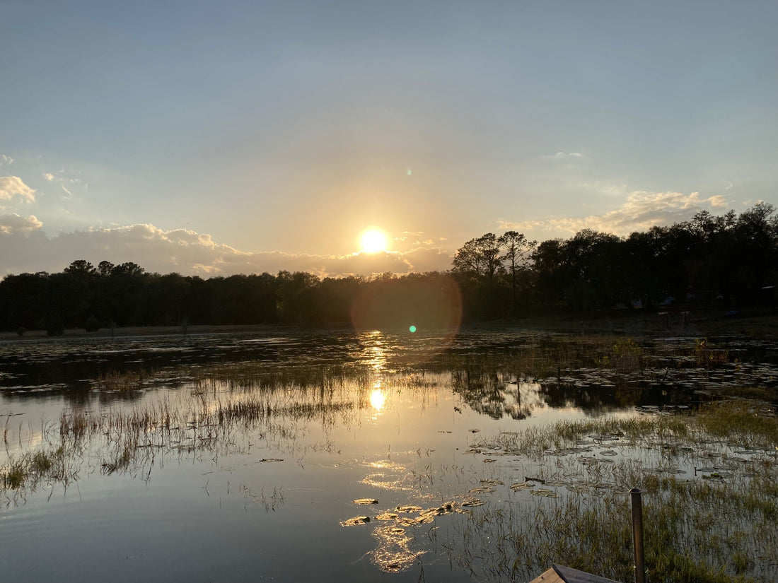 Reflecting on the Year & Looking Ahead