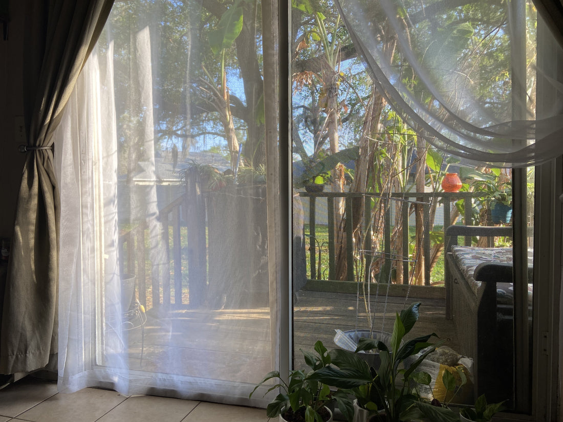 Early morning view from the window, capturing the calm and peaceful atmosphere before starting the workday. Soft natural light and a serene landscape set the tone for a productive day ahead.