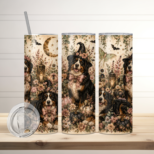 Spooky Paws – Bernese Mountain Dog